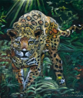Jaguar im Dschungel - Claudia Lüthi - Array auf  - Array - Array