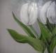 weisse Tulpen - Walli Gutmann - Acryl auf Leinwand - Blumen - Realismus