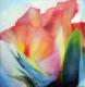 Blossom - Marion SchÃ¤fter - Ãl auf Leinwand - Blumen - Abstrakt
