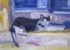 Katze, in schattiger Ecke sitzend -  Juliart - Acryl auf Papier - Sonstiges - 