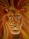 Lion - Martin MartinMarian - Pastell auf Karton - Sonstiges - 