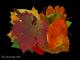 Leaves 3 von Mario Strack - Galerie Studio    universal arts - Drucke auf  - Sonstiges - 