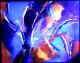 blue firework -  Haschberger - Acryl auf Leinwand - Sonstiges - 