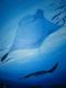 MantaÂ´s - Karin Fricke - Acryl auf Leinwand - Sonstiges - 