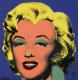 Monroe -  Ulli_Hoyer - Acryl auf Leinwand - Sonstiges - 