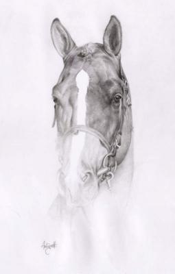 Cavallo del sole - di Lorenzo Antognetti - LORENZO ANTOGNETTI - Array auf  - Array - 