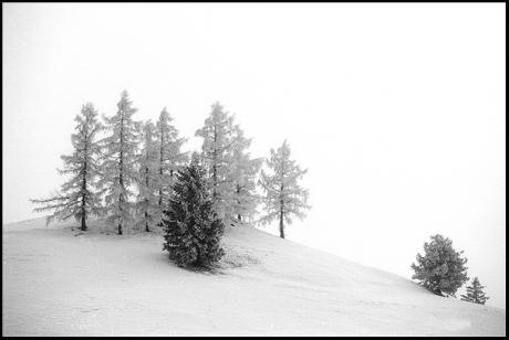 Winter - Norbert Felzl - Norbert Felzl -  auf  - Array - 