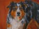 Liam - Vera  Eisberg -  auf  - Hunde - 