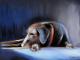 Nickerchen - Renate Dohr - Pastell auf Pappe - Hunde - Realismus