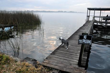 Trespassing - sarah kir -  auf  - Array - 