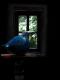 blauer Vogel - Michael GuntenhÃ¶ner - - auf  - Fantastisch-Mystik-Stillleben - 
