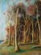 Geisterwald - Birgit MÃ¼ller - Pastell auf Papier - Wald - 