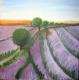 Lavendel - Elisabeth Haslauer - Acryl auf Leinwand - Landschaft - 