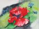 Klatschmohn dunkel - Egon Rathke - Aquarell auf  - Mohn - 