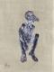 selfportrait - Lucipher L -  auf  - Sonstiges - 