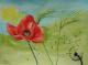 Mohn mit Ãhren - Egon Rathke - Aquarell auf  - Mohn - Naturalismus-Realismus