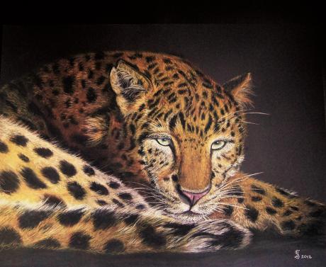 Leopard - Jacqueline Scheib - Array auf Array - Array - 