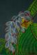 Exotische Blume 1 - Claudia Diaz - Pastell auf Papier - Blumen - 