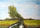 Am Bach - Martina Winkler - Acryl auf Leinwand -  - 