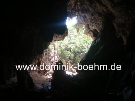 Flucht aus der Höhle - auf Leinwand - Dominik Böhm -  auf  - Array - 