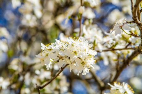 Frühling - Farbschatten Fotografie -  auf  - Array - 