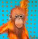 Orang Utan Junges - Susanne Urtel-Stappmanns - Acryl auf Leinwand - Wildtiere - Fotorealismus-PopArt