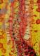 Licht hinter dem Vorhang  - Charly  Walser - Acryl auf Leinwand -  - PopArt