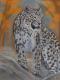 Leopard im Nebel - Jacqueline Scheib - Kreide auf  - Raubkatzen - 